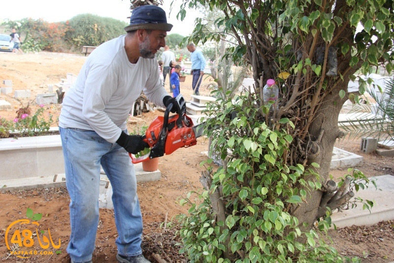 tasoooi3i1412 (64).JPG